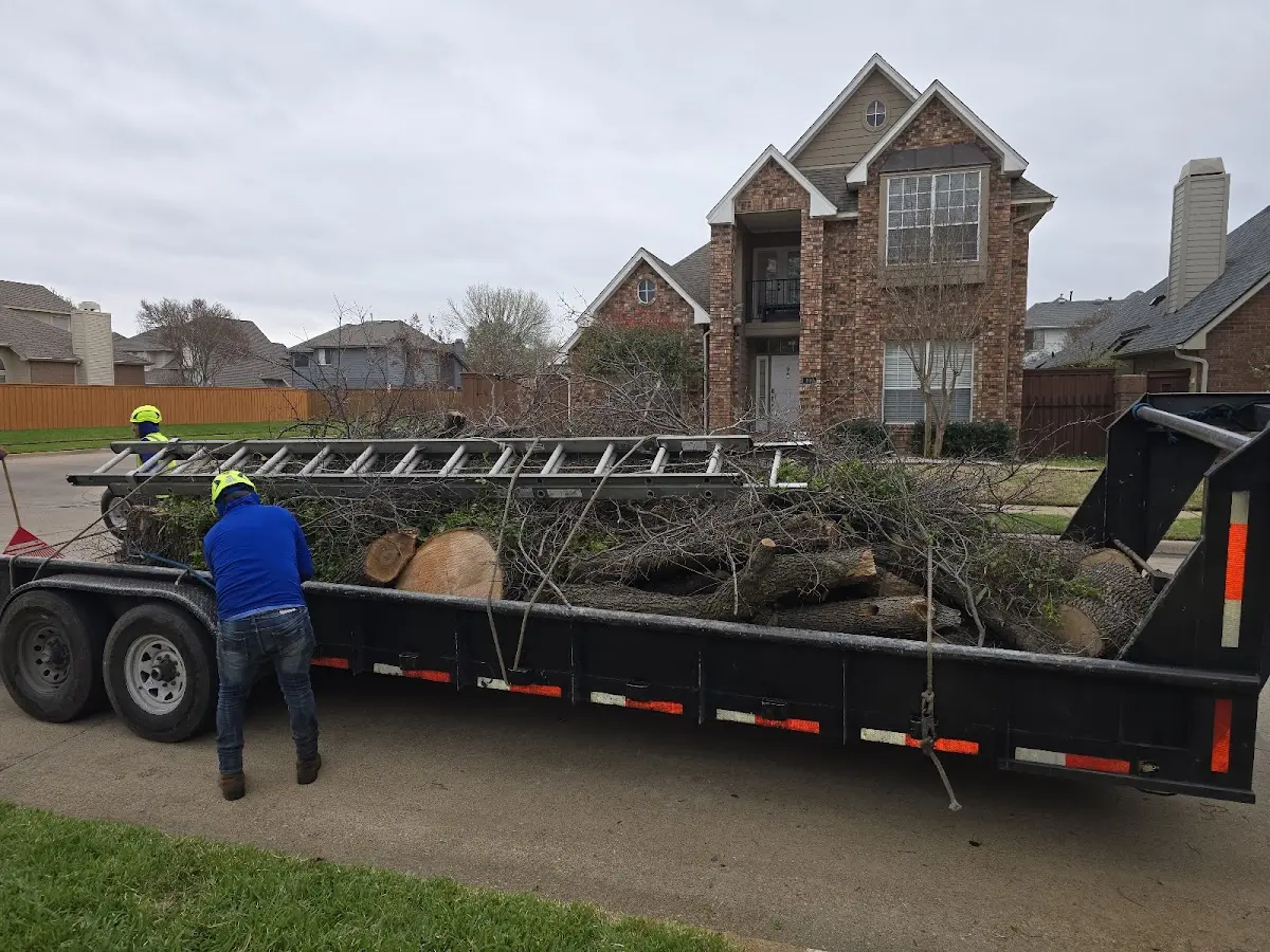Expert Tree Removal with proper safety equipment in Rochelle